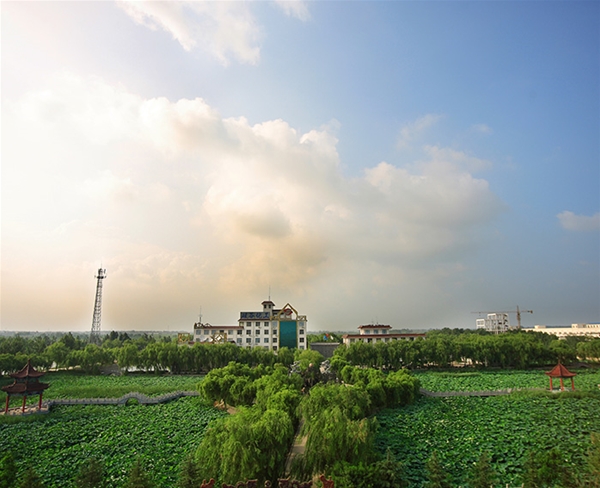 硅谷實(shí)景