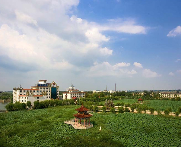 硅谷實(shí)景