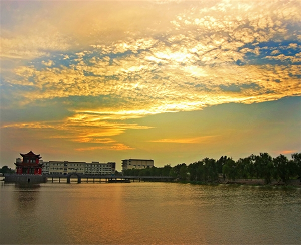 硅谷實(shí)景