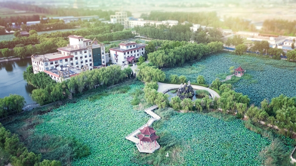硅谷實(shí)景